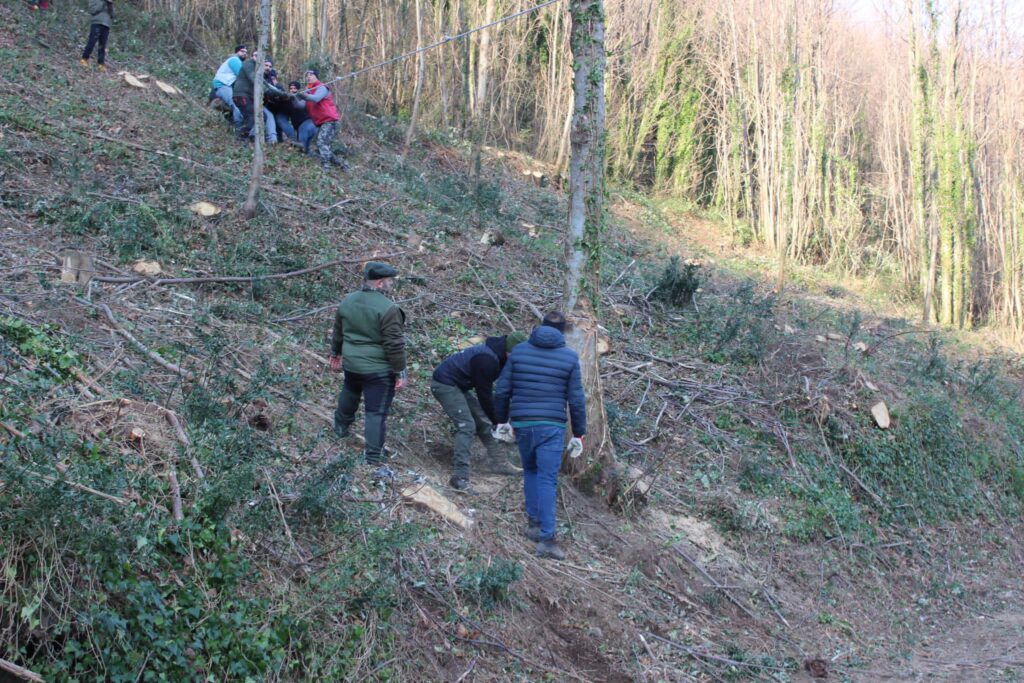 SPERONE. Il taglio del Maio di Sant’Elia. Le foto più belle di Francesco Piccolo