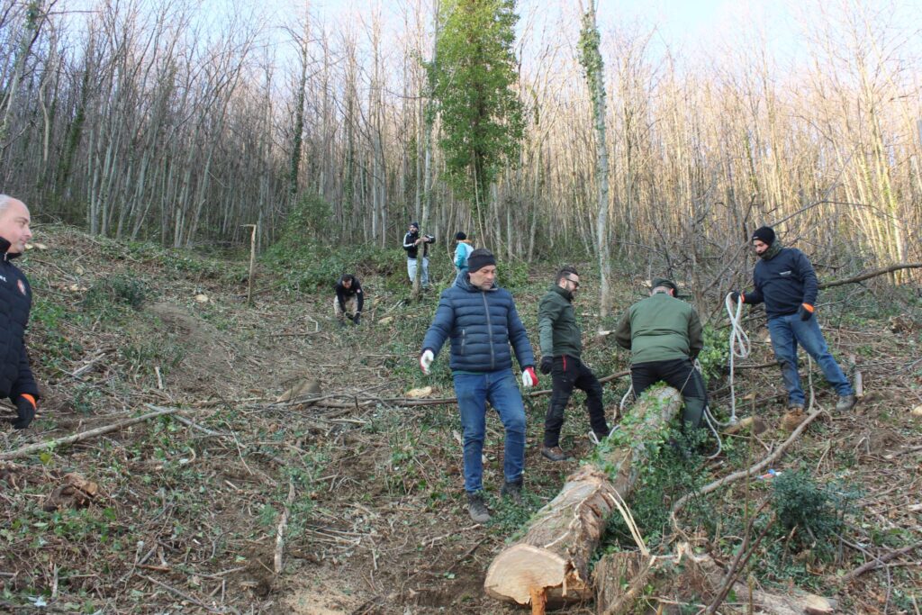 SPERONE. Il taglio del Maio di Sant’Elia. Le foto più belle di Francesco Piccolo