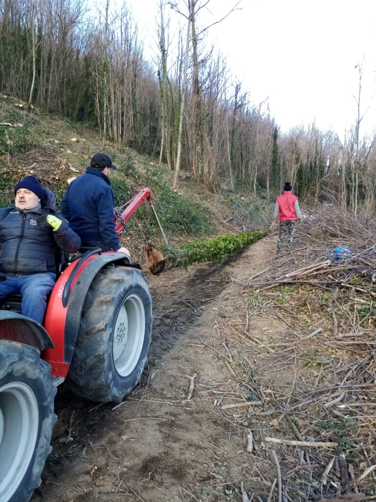 SPERONE. Il taglio del Maio di Sant’Elia. Le foto più belle di Francesco Piccolo