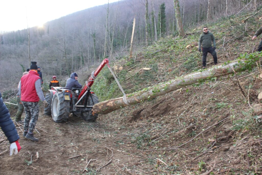 SPERONE. Il taglio del Maio di Sant’Elia. Le foto più belle di Francesco Piccolo