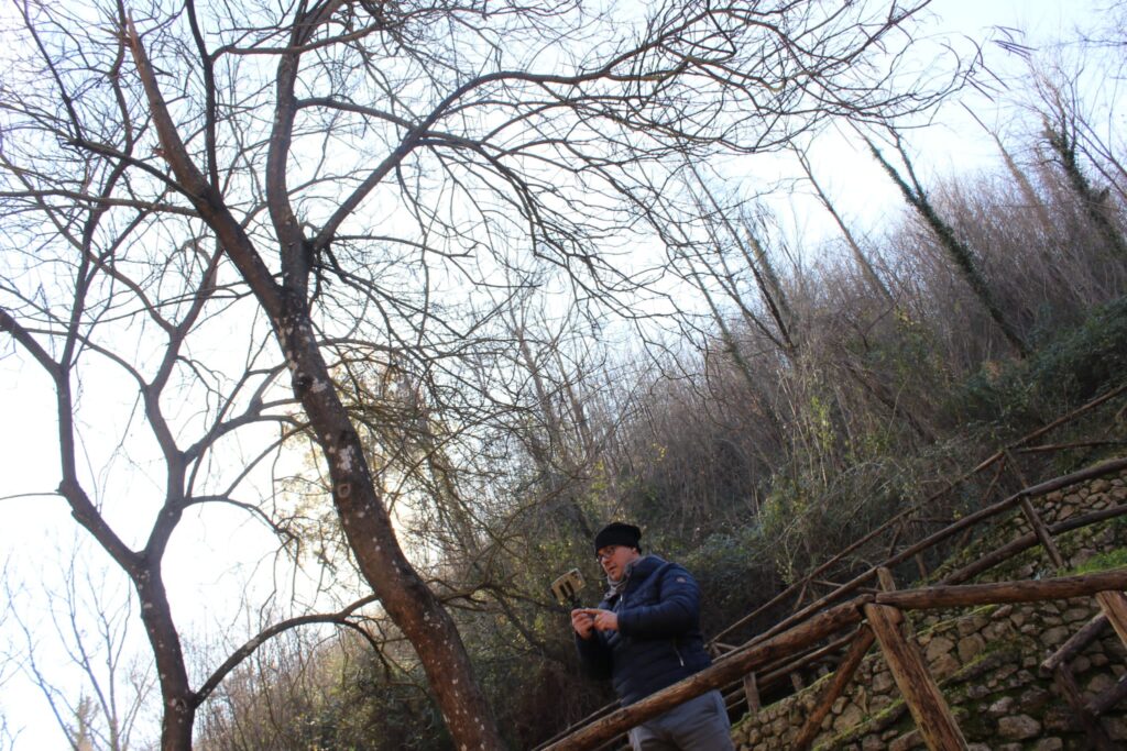 SPERONE. Il taglio del Maio di Sant’Elia. Le foto più belle di Francesco Piccolo