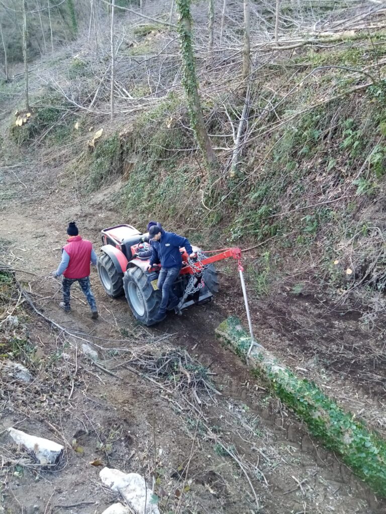 SPERONE. Il taglio del Maio di Sant’Elia. Le foto più belle di Francesco Piccolo