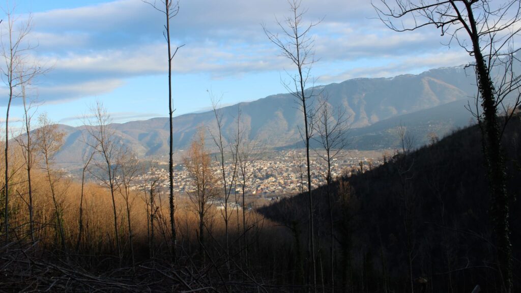 SPERONE. Il taglio del Maio di Sant’Elia. Le foto più belle di Francesco Piccolo