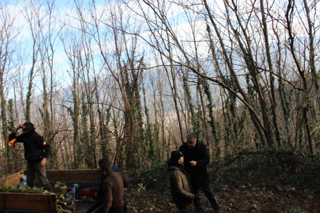 SPERONE. Il taglio del Maio di Sant’Elia. Le foto più belle di Francesco Piccolo