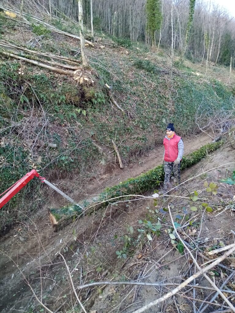 SPERONE. Il taglio del Maio di Sant’Elia. Le foto più belle di Francesco Piccolo