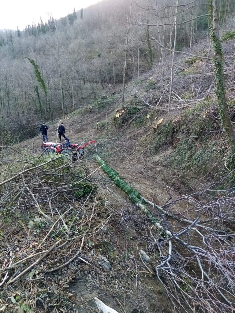 SPERONE. Il taglio del Maio di Sant’Elia. Le foto più belle di Francesco Piccolo