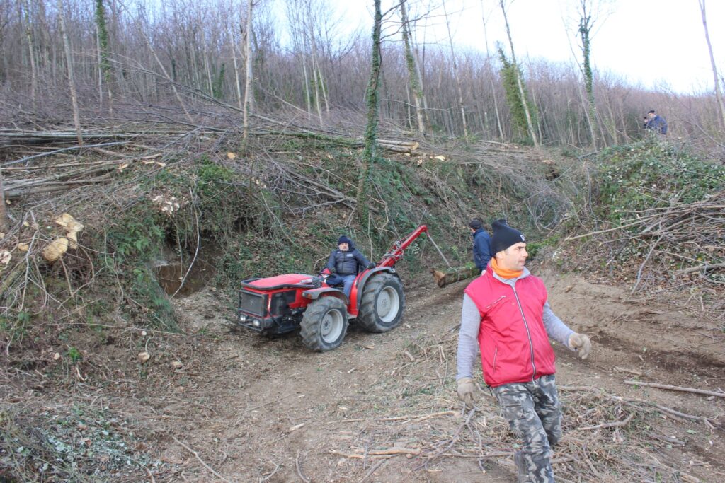SPERONE. Il taglio del Maio di Sant’Elia. Le foto più belle di Francesco Piccolo