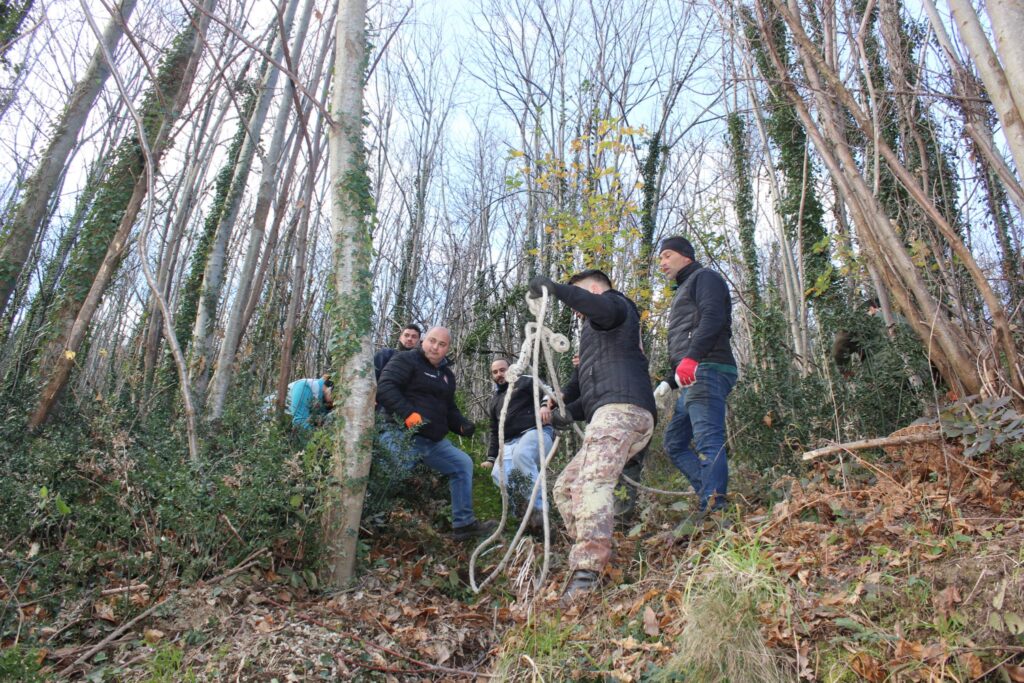 SPERONE. Il taglio del Maio di Sant’Elia. Le foto più belle di Francesco Piccolo