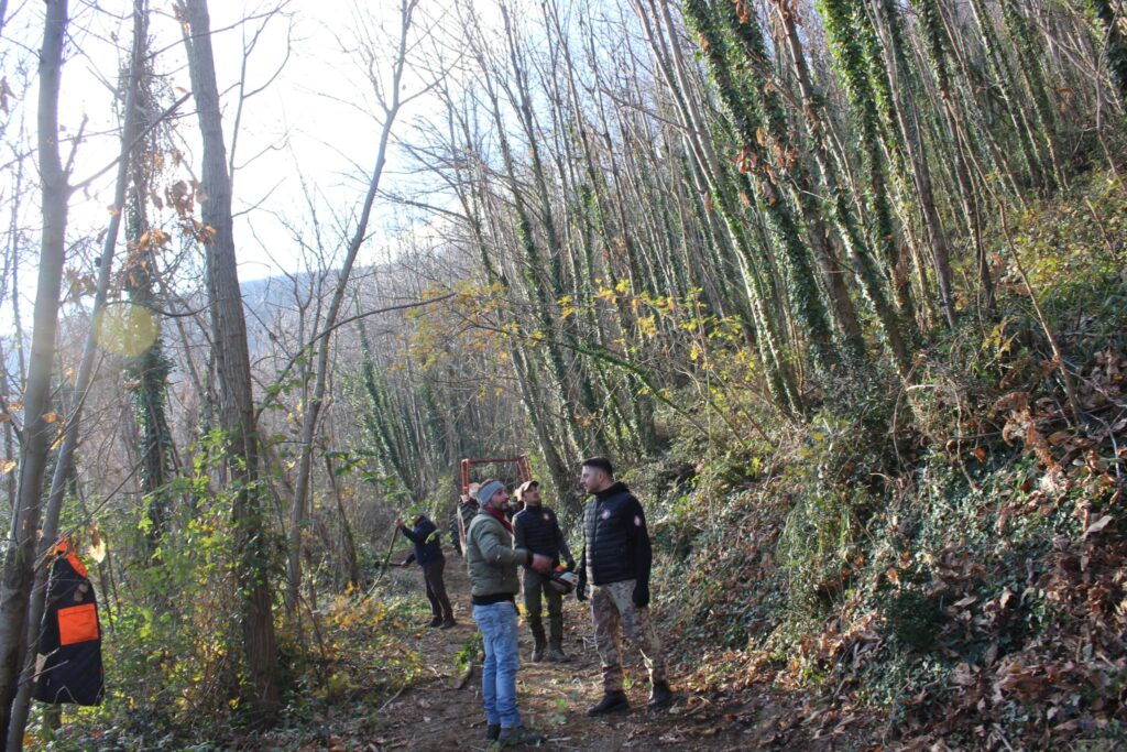 SPERONE. Il taglio del Maio di Sant’Elia. Le foto più belle di Francesco Piccolo