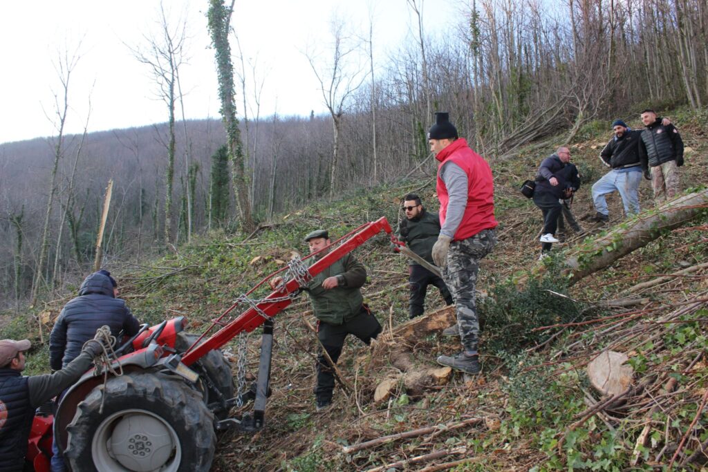 SPERONE. Il taglio del Maio di Sant’Elia. Le foto più belle di Francesco Piccolo