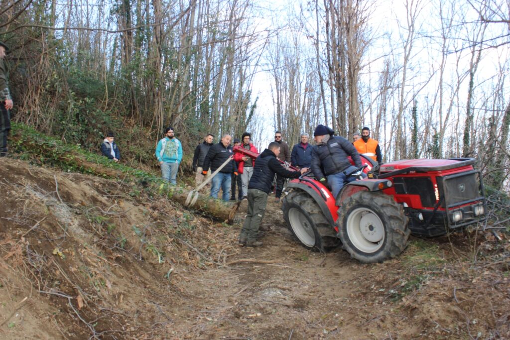SPERONE. Il taglio del Maio di Sant’Elia. Le foto più belle di Francesco Piccolo