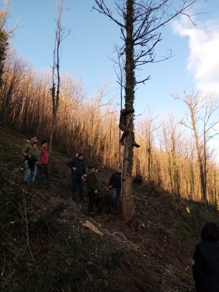 SPERONE. Il taglio del Maio di Sant’Elia. Le foto più belle di Francesco Piccolo