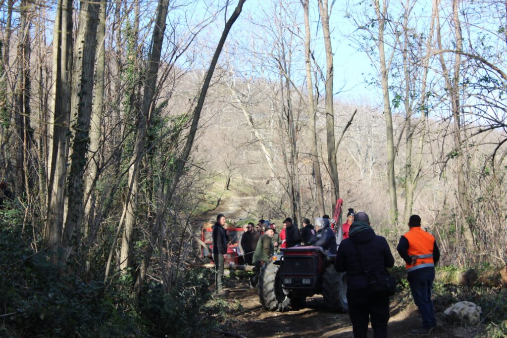SPERONE. Il taglio del Maio di Sant’Elia. Le foto più belle di Francesco Piccolo