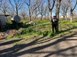 PIAZZOLLA DI NOLA: Carabinieri sequestrano maneggio abusivo. 38enne denunciato