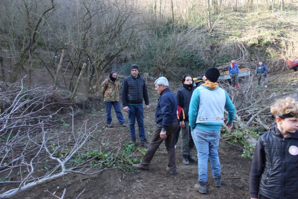 SPERONE. Il taglio del Maio di Sant’Elia. Le foto più belle di Francesco Piccolo