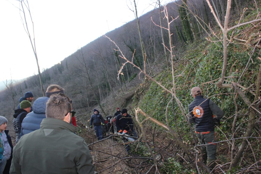 SPERONE. Il taglio del Maio di Sant’Elia. Le foto più belle di Francesco Piccolo