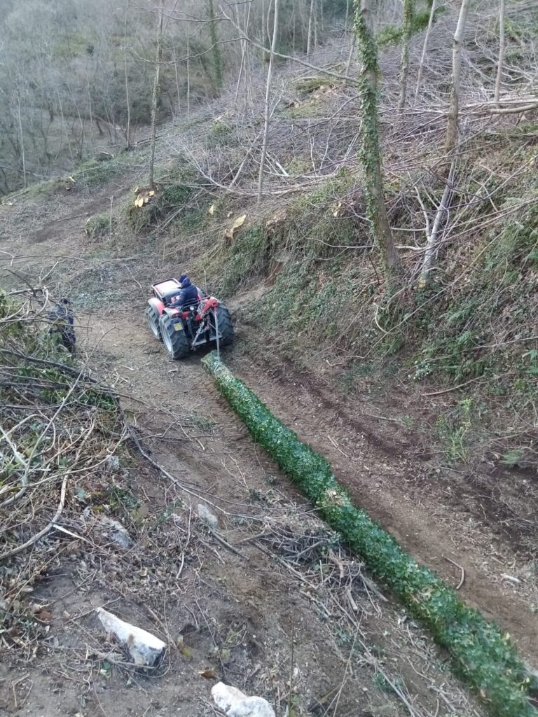 SPERONE. Il taglio del Maio di Sant’Elia. Le foto più belle di Francesco Piccolo