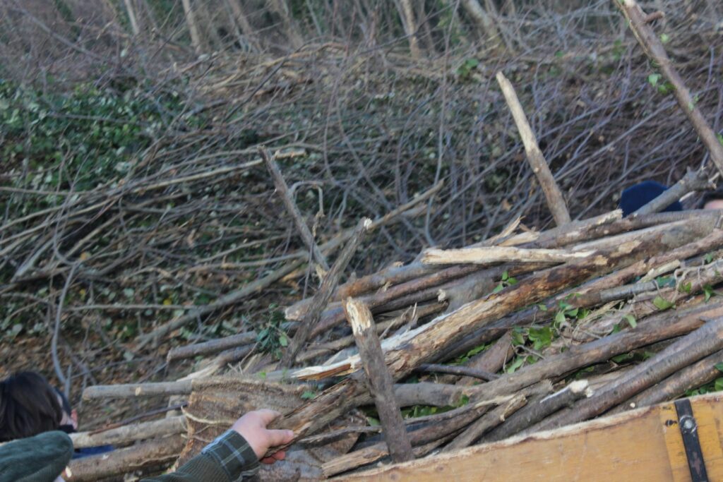 SPERONE. Il taglio del Maio di Sant’Elia. Le foto più belle di Francesco Piccolo