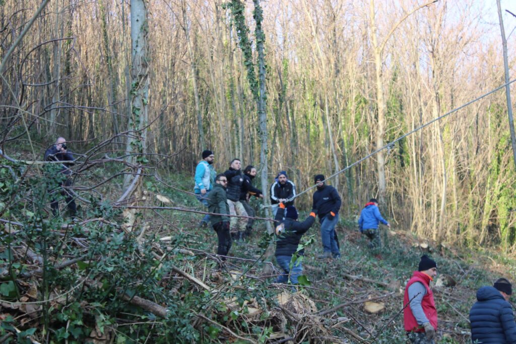 SPERONE. Il taglio del Maio di Sant’Elia. Le foto più belle di Francesco Piccolo
