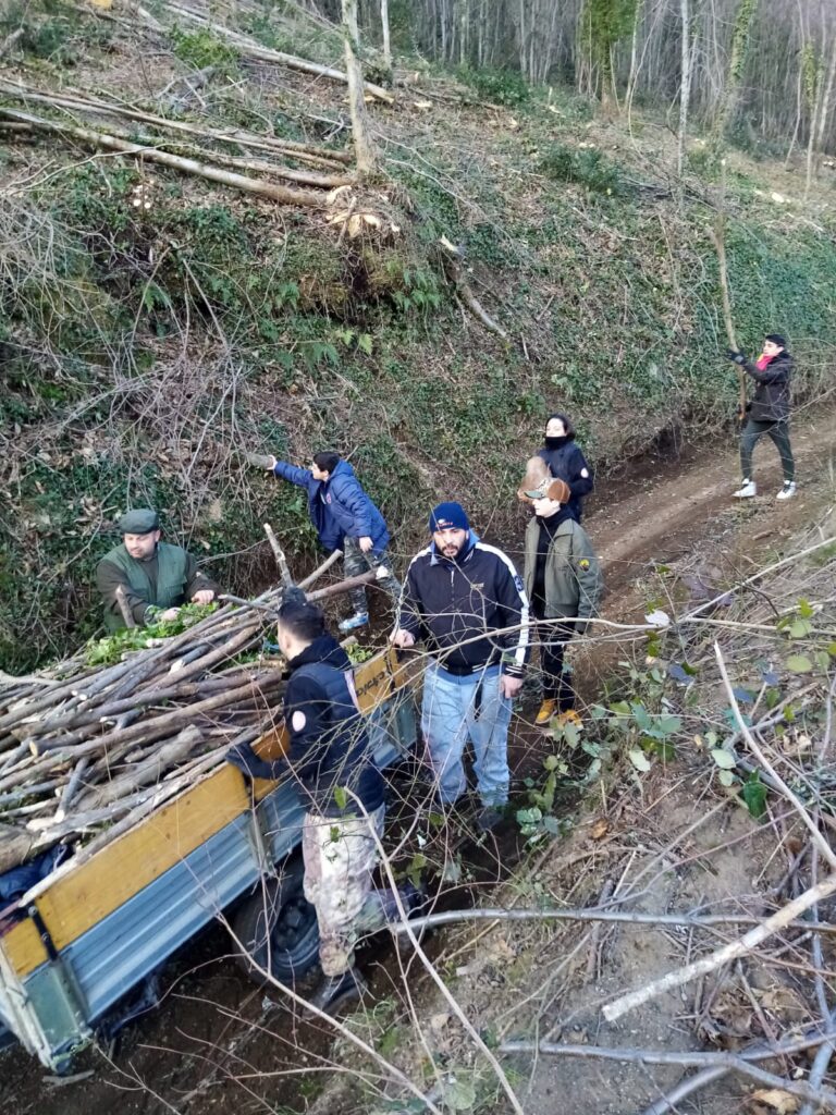 SPERONE. Il taglio del Maio di Sant’Elia. Le foto più belle di Francesco Piccolo