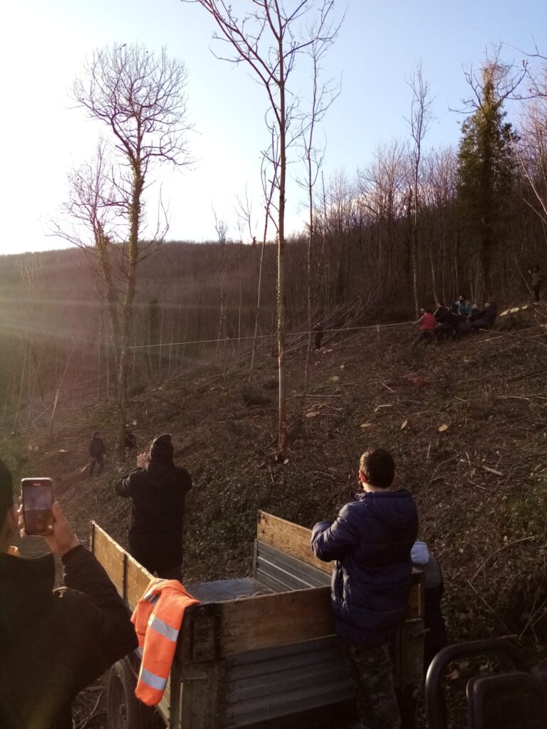 SPERONE. Il taglio del Maio di Sant’Elia. Le foto più belle di Francesco Piccolo