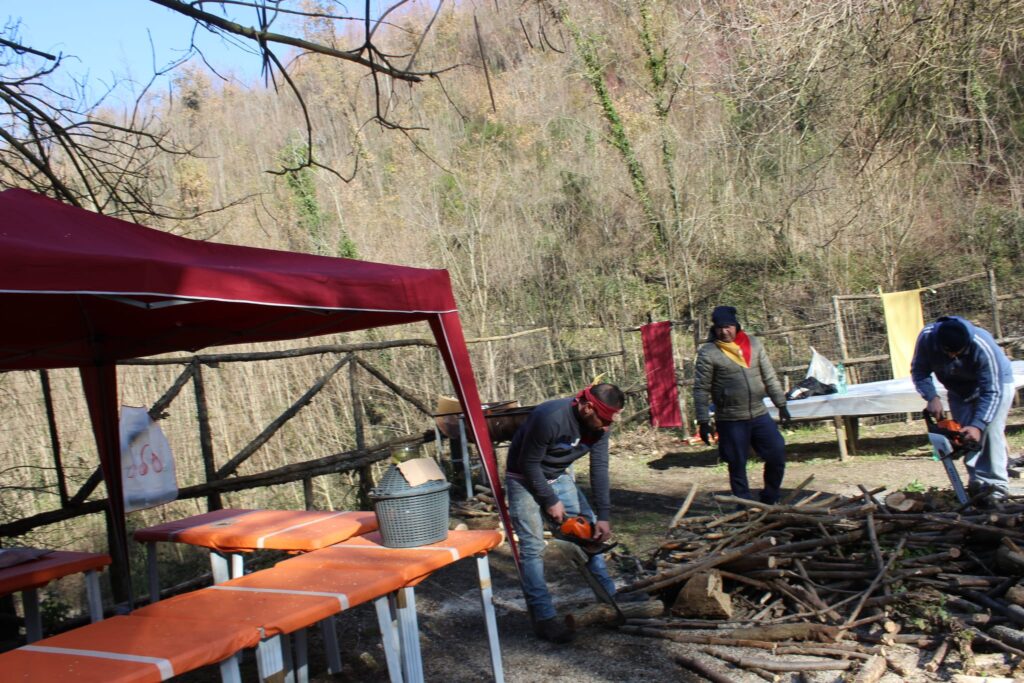 SPERONE. Il taglio del Maio di Sant’Elia. Le foto più belle di Francesco Piccolo