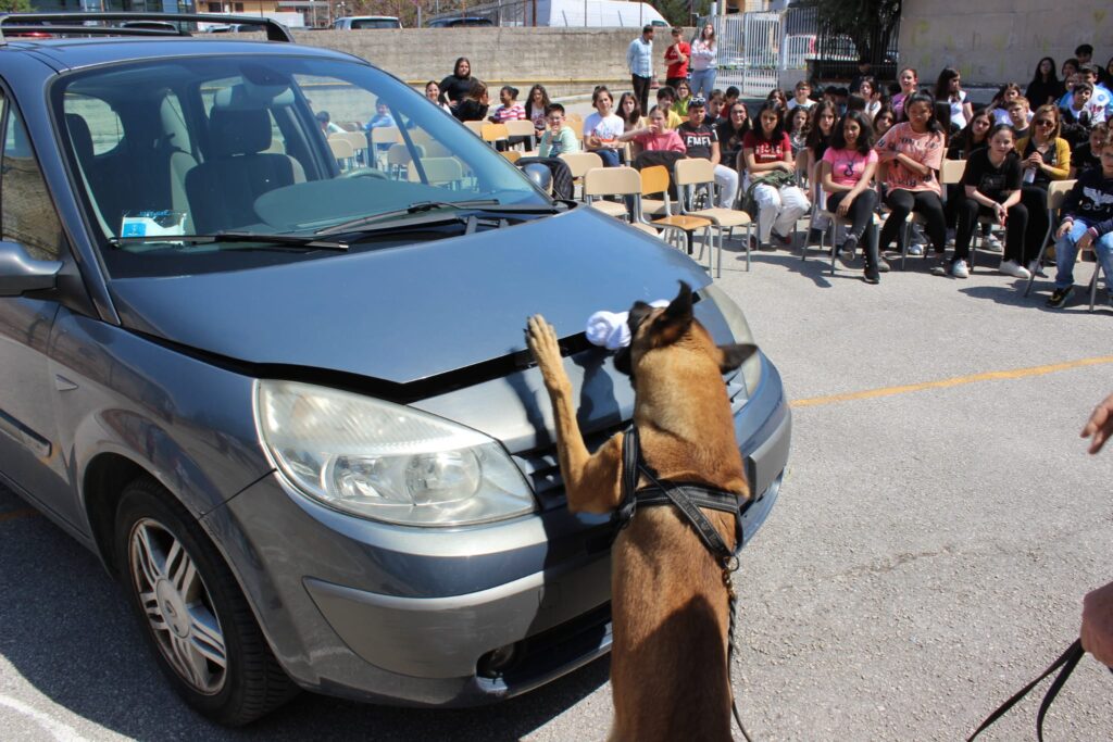 SPERONE. Gli alunni della scuola secondaria incontrano le unità cinofile della Polizia Penitenziaria. Foto e video