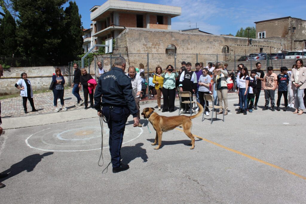 SPERONE. Gli alunni della scuola secondaria incontrano le unità cinofile della Polizia Penitenziaria. Foto e video