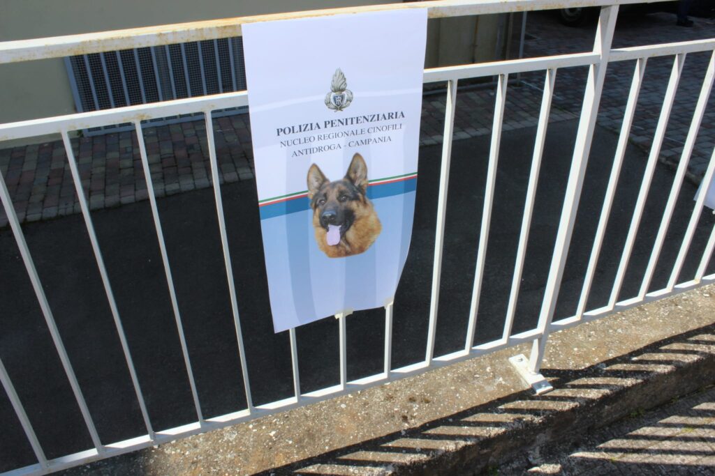 SPERONE. Gli alunni della scuola secondaria incontrano le unità cinofile della Polizia Penitenziaria. Foto e video