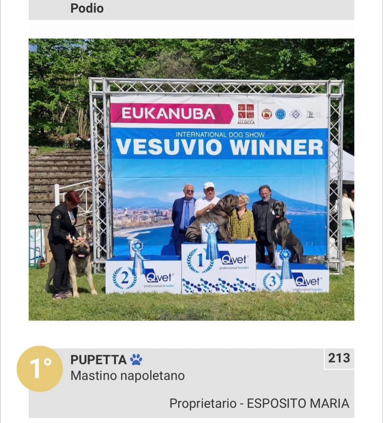 PUPETTA, il mastino napoletano femmina di 20 mesi si aggiudica il premio di The best in show PUPETTA, il mastino napoletano femmina di 20 mesi si aggiudica il premio di The best in show