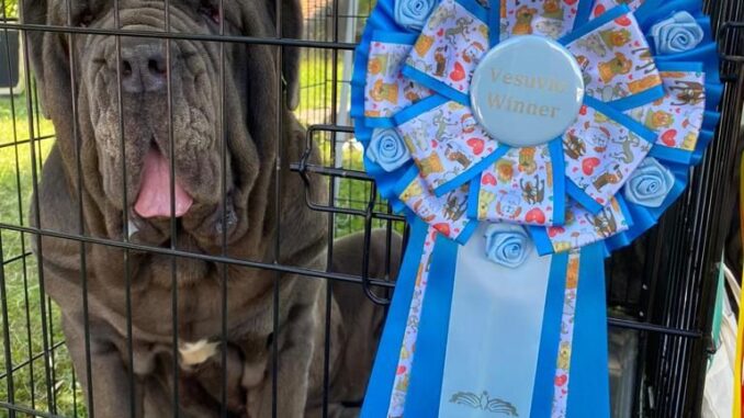 F0ABEB33-2F86-4277-B731-4ECB4CA1A49F