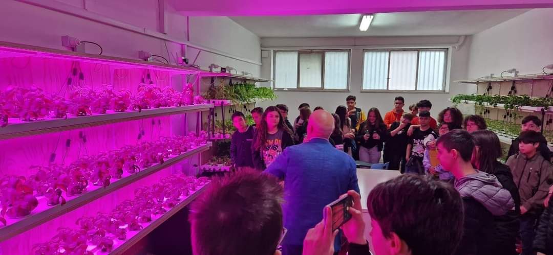 NOLA. E iniziata la SETTIMANA GREEN, allIstituto ISIS Leone Nobile NOLA. E iniziata la SETTIMANA GREEN, allIstituto ISIS Leone Nobile