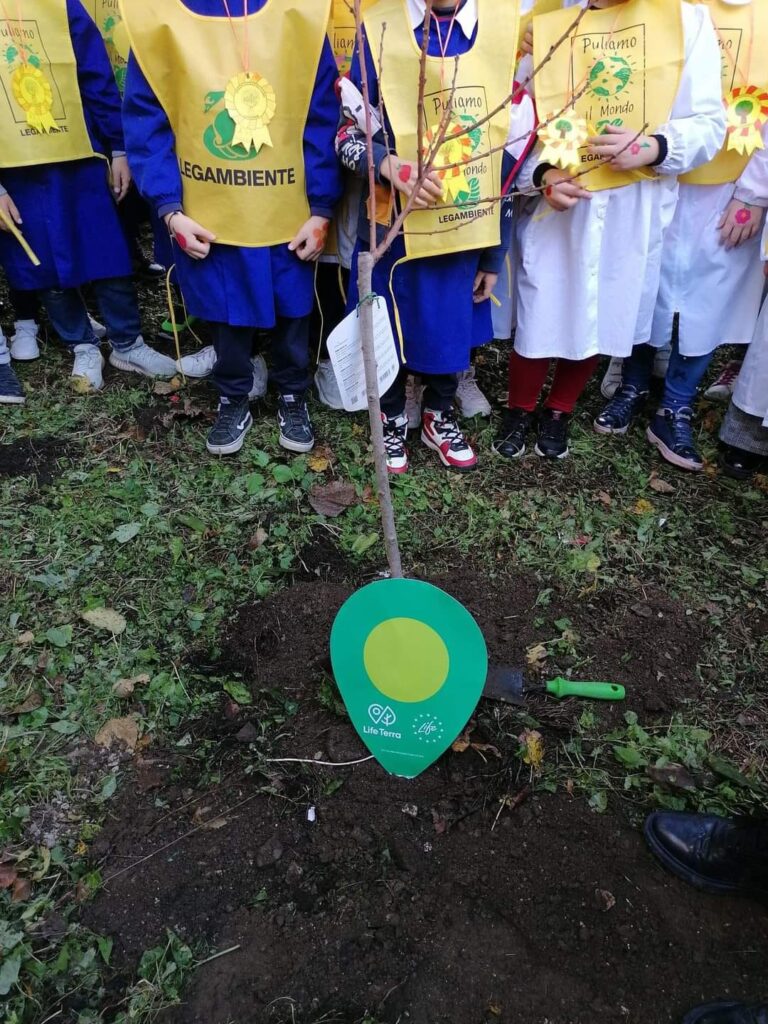Afragola, rubati sei alberi da frutto nella scuola Marconi piantumati dagli alunni.