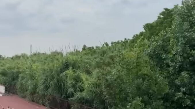 Immagine WhatsApp 2023-06-14 ore 11.26.54