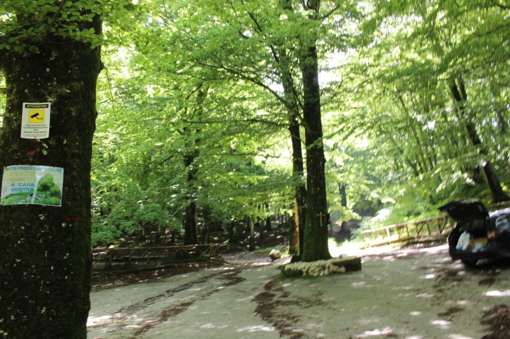 Mugnano del Cardinale (AV)  Proficua la Giornata Ecologica organizzata dalla proloco Rimettiamoci Insieme. VIDEO e FOTO