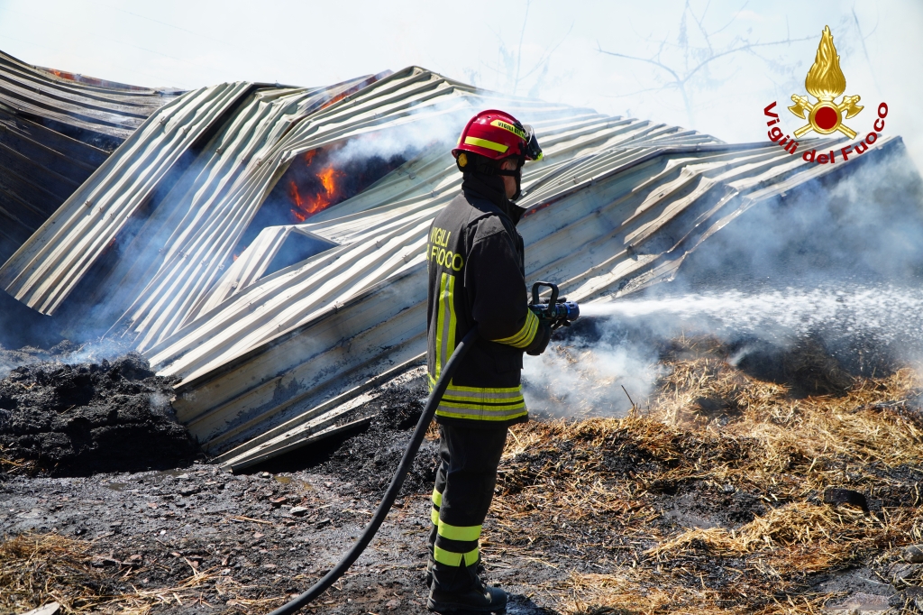 ARIANO IRPINO. A fuoco un capannone di unazienda agricola, ustionato il proprietario 50enne ARIANO IRPINO. A fuoco un capannone di unazienda agricola, ustionato il proprietario 50enne
