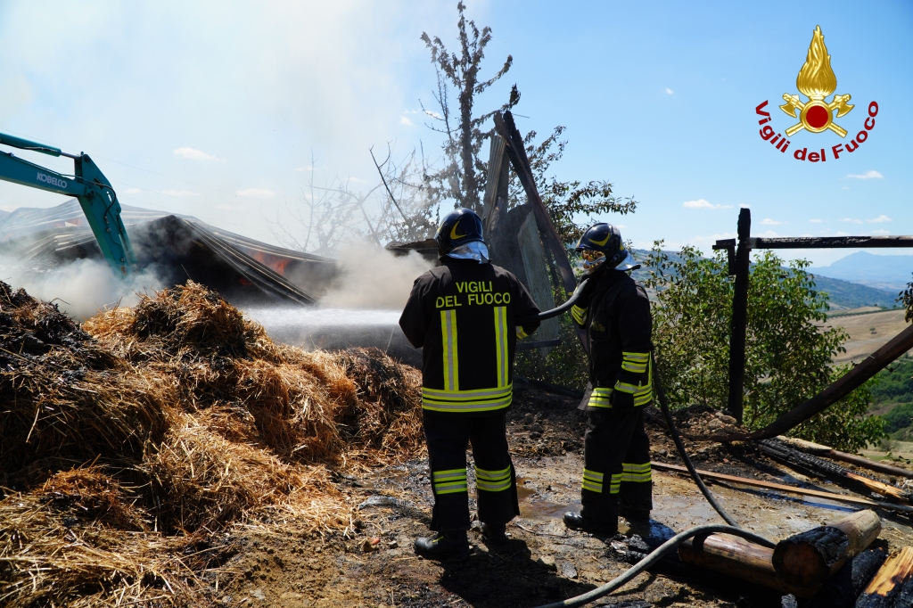 ARIANO IRPINO. A fuoco un capannone di unazienda agricola, ustionato il proprietario 50enne ARIANO IRPINO. A fuoco un capannone di unazienda agricola, ustionato il proprietario 50enne