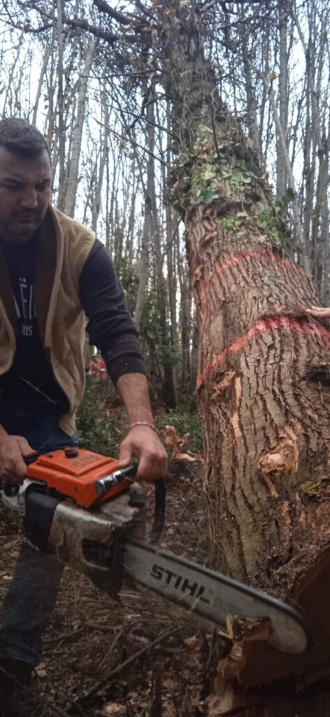 BAIANO (AV). Michele Colucci nuovo referente per la festa del Maio 2023.