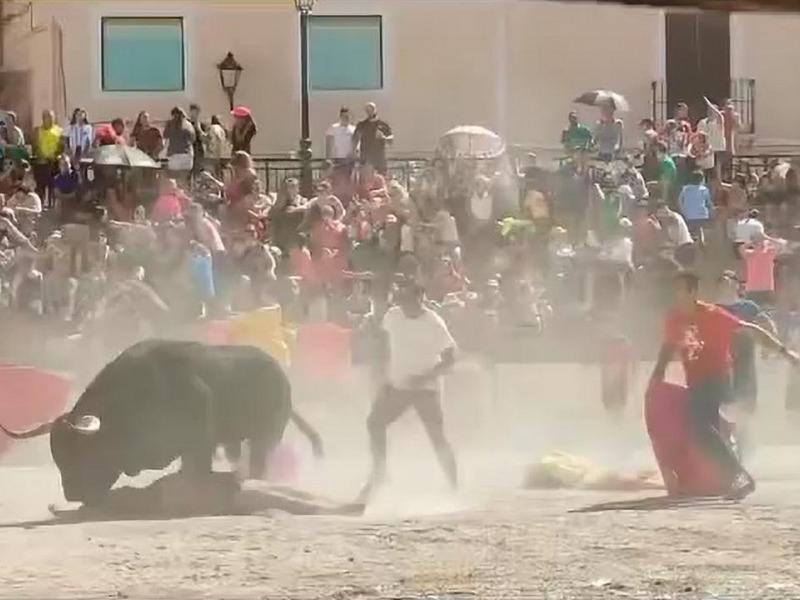 Spagna, turista entra in arena per sfidare il toro, viene incornato