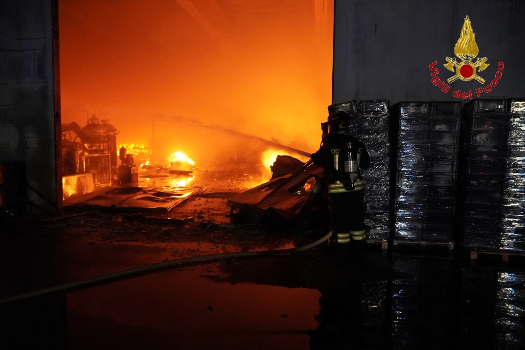 Incendio a Avellino: Vigili del Fuoco a Lavoro per contenere lEmergenza Incendio a Avellino: Vigili del Fuoco a Lavoro per contenere lEmergenza