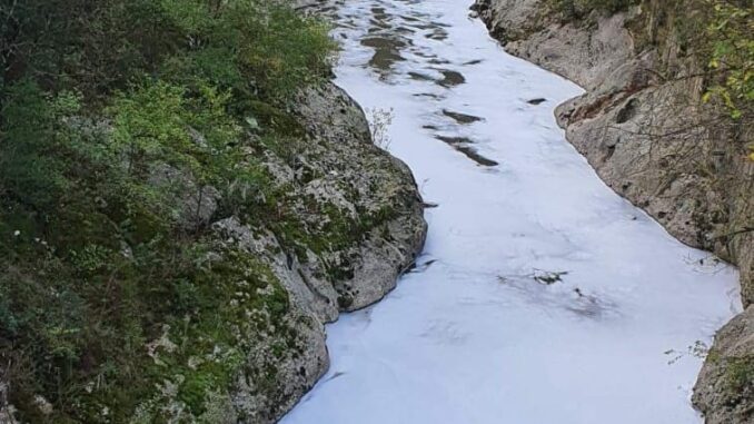 Immagine WhatsApp 2023-10-20 ore 13.33.04_7823339c