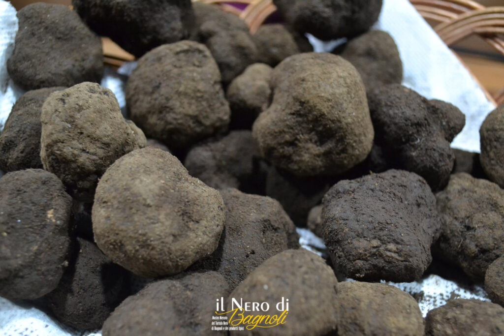 Bagnoli Irpino, conto alla rovescia per “Il Nero di Bagnoli” 2023.  Al via il 20 ottobre la 44aesima Mostra Mercato del Tartufo Nero di Bagnoli Irpino, nel centro storico stand di artigianato e prodotti tipici locali