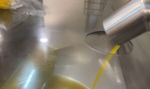 Il Frantoio Arbucci di Avella: Una Tradizione di Qualità che Risale al 1955