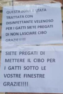 A Roccarainola è una vera e propria strage di Gatti nel quartiere Fellino