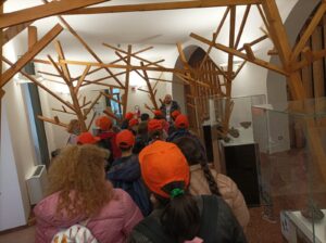 Avella   Studenti dell I.C. Monsignor Guerriero in visita al MIA