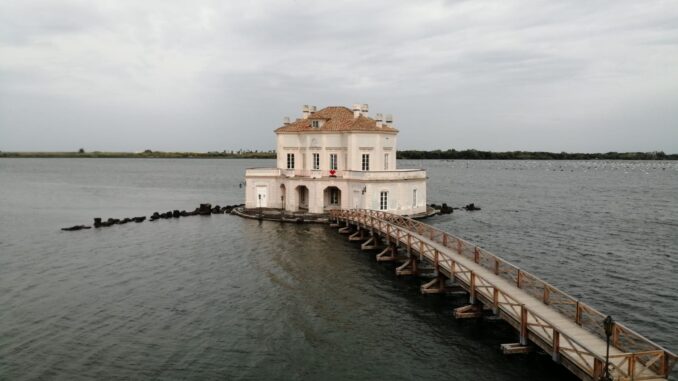 Immagine WhatsApp 2023-12-12 ore 10.24.44_c9eb0cad