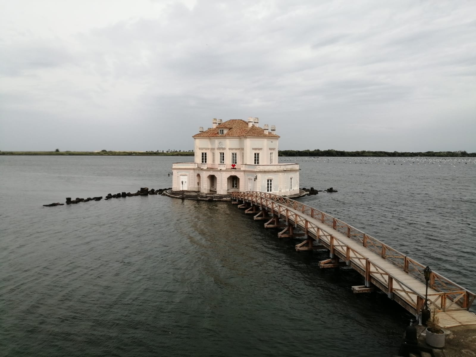 La Disabilità in Viaggio: Una Mostra Fotografica che trasforma le difficoltà in esperienze Positive. LAssociazione ATTIVAMENTE rivela la bellezza e le difficoltà delle vacanze per tutti al Palazzo dellOstrichina La Disabilità in Viaggio: Una Mostra Fotografica che trasforma le difficoltà in esperienze Positive. LAssociazione ATTIVAMENTE rivela la bellezza e le difficoltà delle vacanze per tutti al Palazzo dellOstrichina