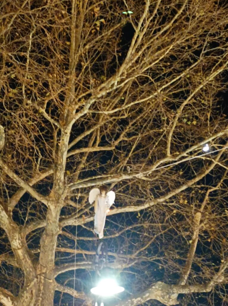 Sirignano   È stato acceso l albero di Natale