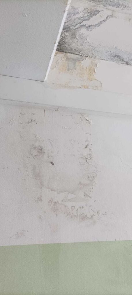 Emergenza scuola nel napoletano. Al Montalcini Ferraris di Marigliano infiltrazioni e muffe mettono in pericolo studenti e didattica