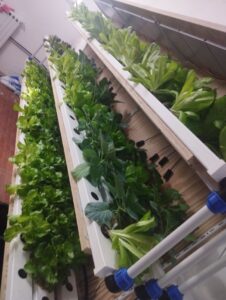 NOLA. Le Prospettive del Leone Nobile: Intervista al Dirigente Scolastico Vincenzo Serpico in Vista degli OPEN DAYS